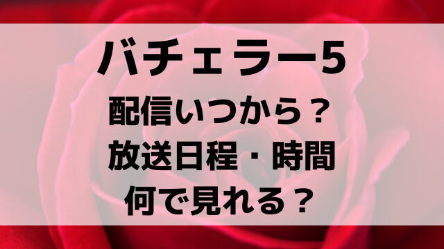 バチェラー5配信いつから？放送日程・時間や何で見れるかについても紹介！