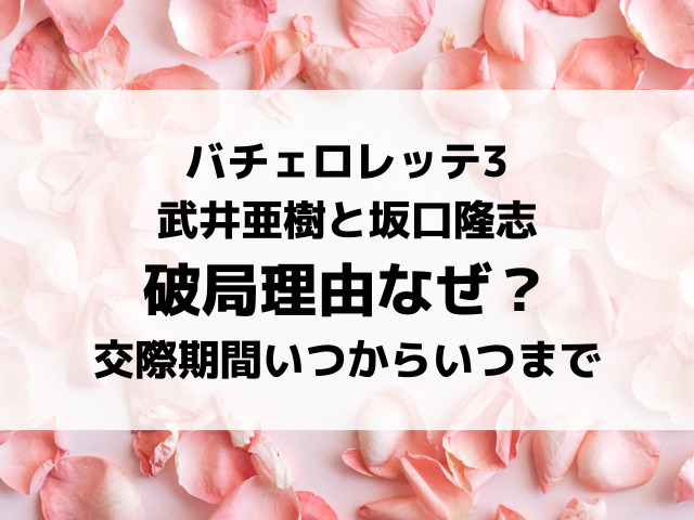 バチェロレッテ3武井亜樹と坂口隆志が別れた理由なぜ？その後の交際期間いつからいつまでかも調査！