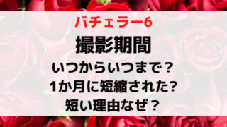 バチェラー6撮影期間いつからいつまで？1か月に短縮されたのか短い理由を調査！