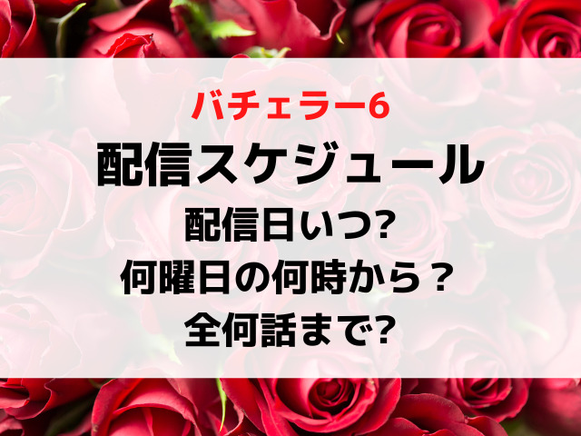 バチェラー6配信日いつから何曜日の時間何時から？全何話までか配信スケジュールを紹介！